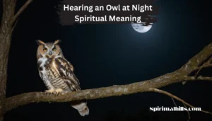 hearing an owl at night spiritual meaning