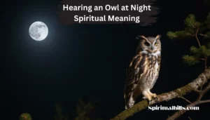 hearing an owl at night spiritual meaning