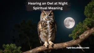 hearing an owl at night spiritual meaning