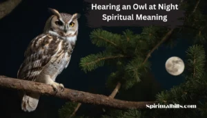 hearing an owl at night spiritual meaning