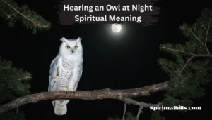 hearing an owl at night spiritual meaning