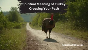 spiritual meaning of turkey crossing your path