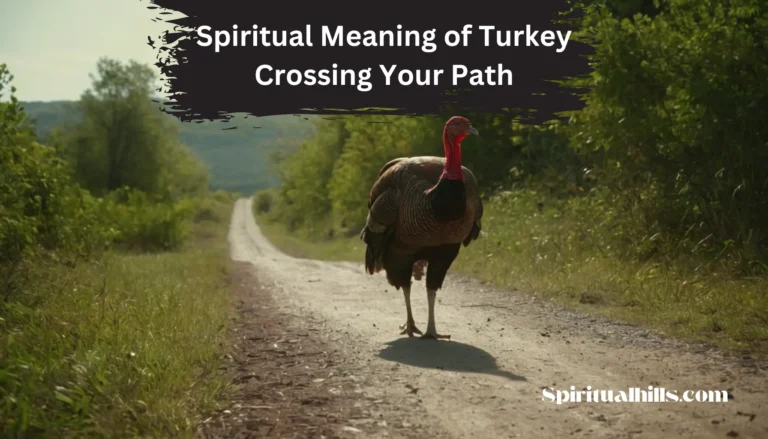 spiritual meaning of turkey crossing your path